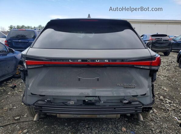 2T2BCMEA2SC021851 2025 LEXUS RX Gray უკანა ხედი
