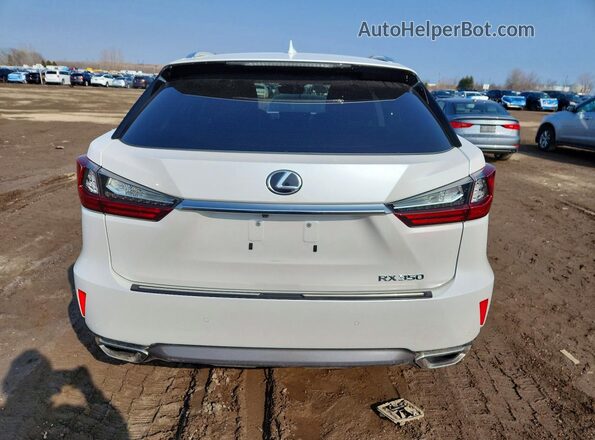 2T2BZMCA1KC198666 2019 LEXUS RX Белый Вид сзади