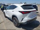 2024 Lexus Nx 250 Premium White vin: 2T2GDCAZ4RC012524