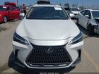 2024 Lexus Nx 250 Premium White vin: 2T2GDCAZ4RC012524