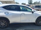 2024 Lexus Nx 250 Premium White vin: 2T2GDCAZ4RC012524