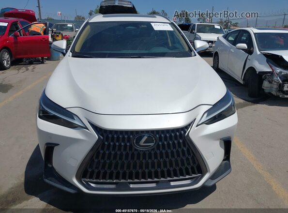 2T2GDCAZ4RC012524 2024 LEXUS NX 250 White Вид спереду