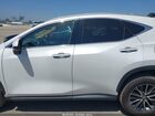 2024 Lexus Nx 250 Premium White vin: 2T2GDCAZ4RC012524