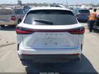 2024 Lexus Nx 250 Premium White vin: 2T2GDCAZ4RC012524