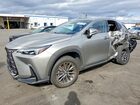 2023 Lexus Nx 250 Gray vin: 2T2GDCAZ7PC003149