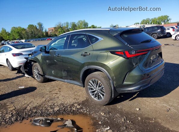 2T2GGCEZ3PC025084 2023 LEXUS NX Green Задня ліва чверть