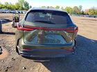 2023 Lexus Nx 350 Green vin: 2T2GGCEZ3PC025084