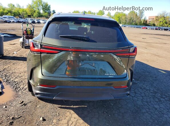 2T2GGCEZ3PC025084 2023 LEXUS NX Green Вид ззаду