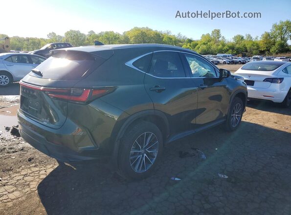 2T2GGCEZ3PC025084 2023 LEXUS NX Green Задня права чверть