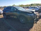 2023 Lexus Nx 350 Green vin: 2T2GGCEZ3PC025084