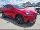 2024 Lexus Nx 350 Premium Red vin: 2T2GGCEZ3RC043135
