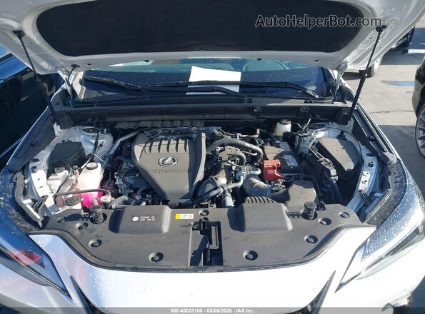 2T2GGCEZ4PC025689 2023 LEXUS NX 350 White უკანა ხედი
