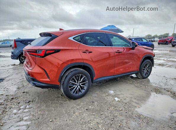 2T2GGCEZ8PC021712 2023 LEXUS NX Burgundy Задня права чверть