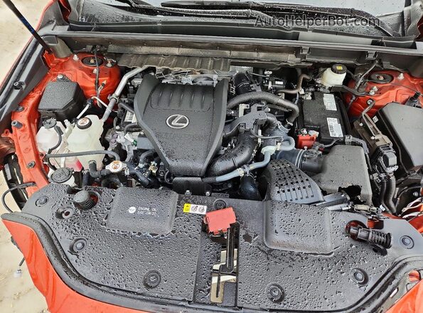 2T2GGCEZ8PC021712 2023 LEXUS NX Burgundy Вид задньої частини салону