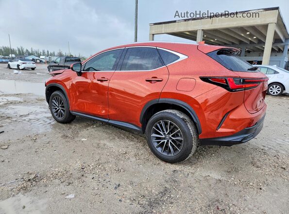2T2GGCEZ8PC021712 2023 LEXUS NX Burgundy Задня ліва чверть