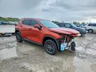 2023 Lexus Nx 350 Premium Burgundy vin: 2T2GGCEZ8PC021712