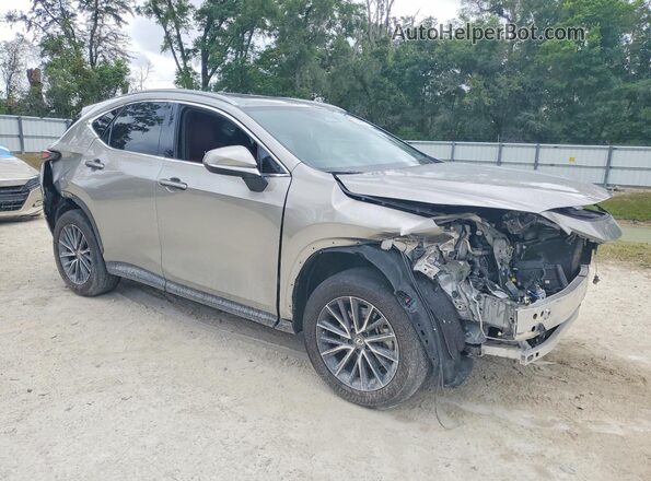 2T2GGCEZ9RC050056 2024 LEXUS NX Silver Front right
