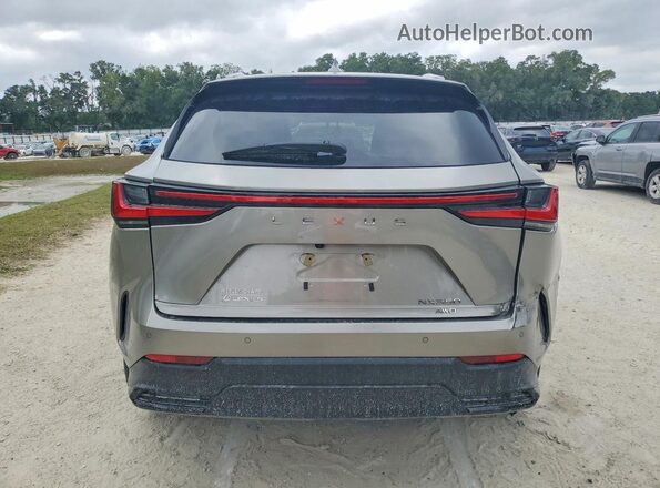 2T2GGCEZ9RC050056 2024 LEXUS NX Silver Rear view