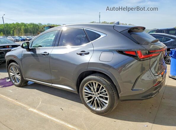 2T2GGCEZXNC011180 2022 LEXUS NX Угольный Задняя левая четверть