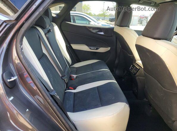 2T2GGCEZXNC011180 2022 LEXUS NX Угольный Вид задней части салона