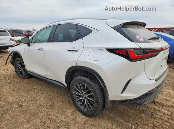 2T2GKCEZ2NC004898 2022 LEXUS NX White უკანა მარცხენა