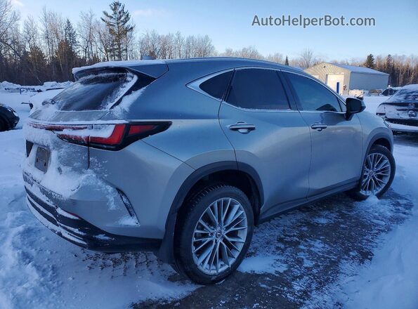 2T2GKCEZ6RC030202 2024 LEXUS NX Silver Tył prawy