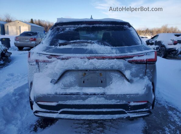 2T2GKCEZ6RC030202 2024 LEXUS NX Silver Widok z tyłu