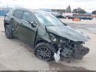 2024 Lexus Nx 350h Premium Green vin: 2T2GKCEZ7RC022433