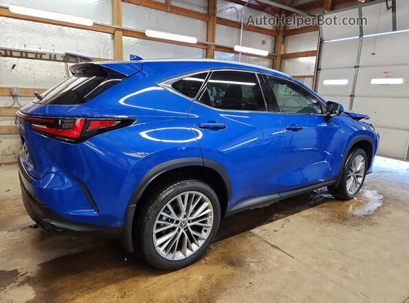 2T2GKCEZ7SC036015 2025 LEXUS NX Blue უკანა მარჯვენა
