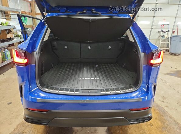 2T2GKCEZ7SC036015 2025 LEXUS NX Blue უკანა ხედი