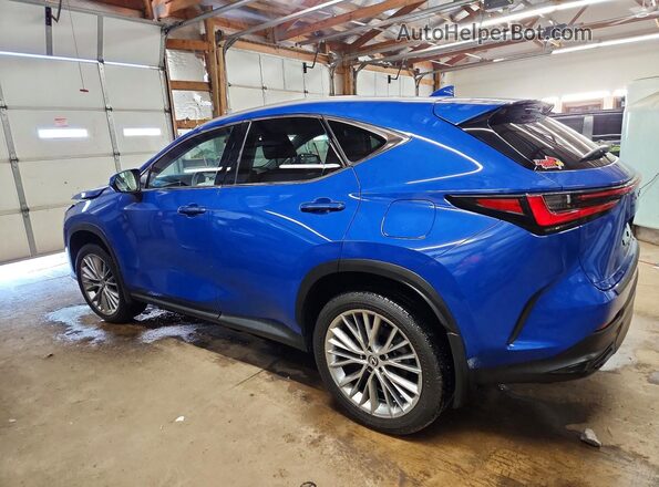 2T2GKCEZ7SC036015 2025 LEXUS NX Blue უკანა მარცხენა