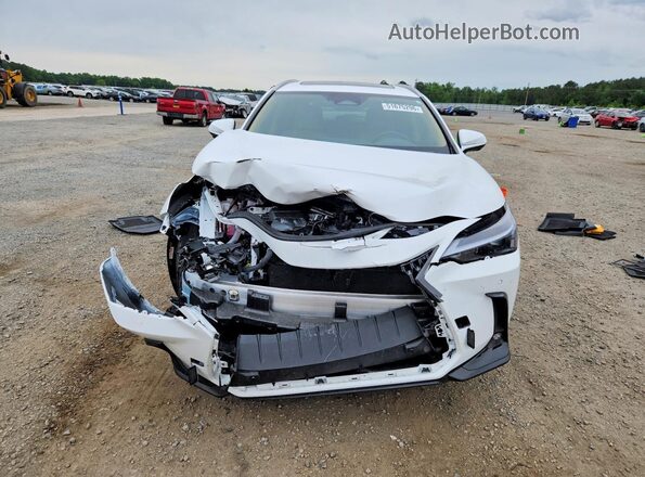 2T2GKCEZ7TC058646 2026 LEXUS NX Белый Вид спереди