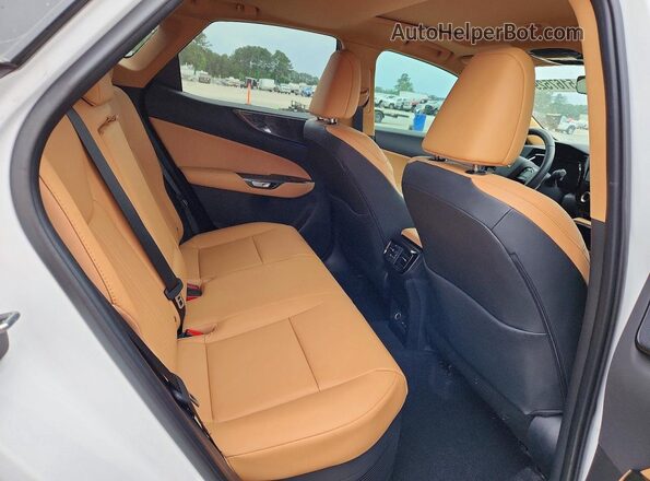 2T2GKCEZ7TC058646 2026 LEXUS NX Белый Вид задней части салона