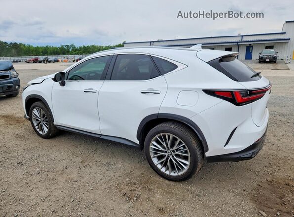 2T2GKCEZ7TC058646 2026 LEXUS NX Белый Задняя левая четверть