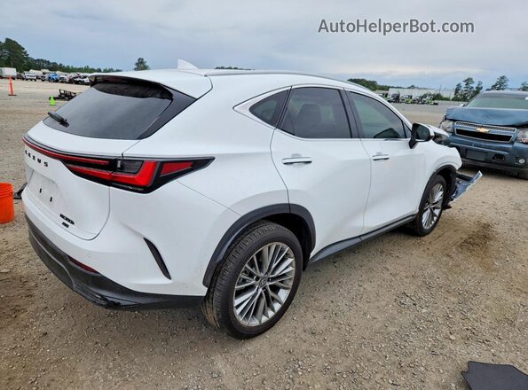 2T2GKCEZ7TC058646 2026 LEXUS NX Белый Задняя правая четверть