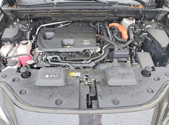 2T2GKCEZ8RC023641 2024 LEXUS NX Black Սալոնի հետևի տեսք