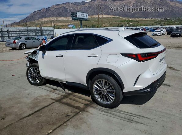 2T2HGCEZ5NC010216 2022 LEXUS NX Белый Задняя левая четверть