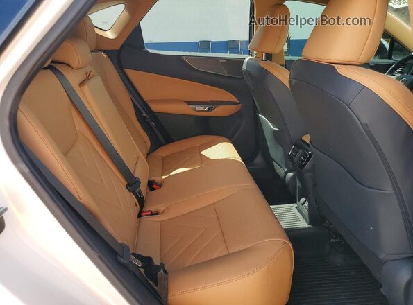 2T2HGCEZ5NC010216 2022 LEXUS NX Белый Вид задних сидений
