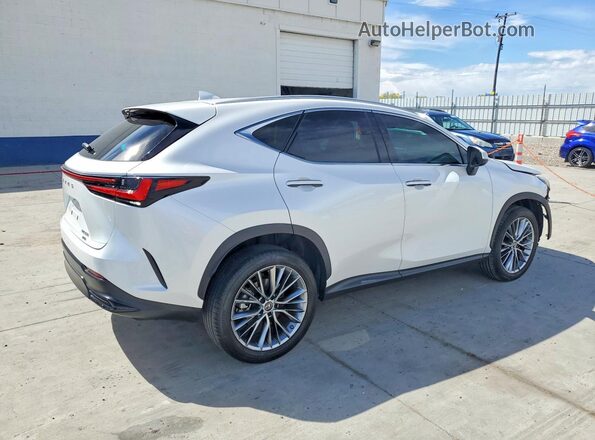 2T2HGCEZ5NC010216 2022 LEXUS NX Белый Задняя правая четверть