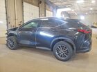 2025 Lexus Nx 350 Luxury Black vin: 2T2HGCEZ7SC077010