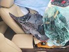2020 Lexus Rx 350 Base Красный vin: 2T2HZMDA3LC215106