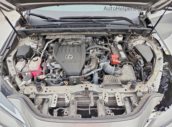 2T2KGCEZ1RC054970 2024 LEXUS NX Silver Rear interior view