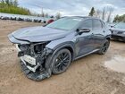 2024 Lexus Nx 350 F Sport Handling Gray vin: 2T2KGCEZ6RC054463