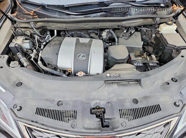 2T2YZMDA1LC236827 2020 LEXUS RX Black Vista interior trasera