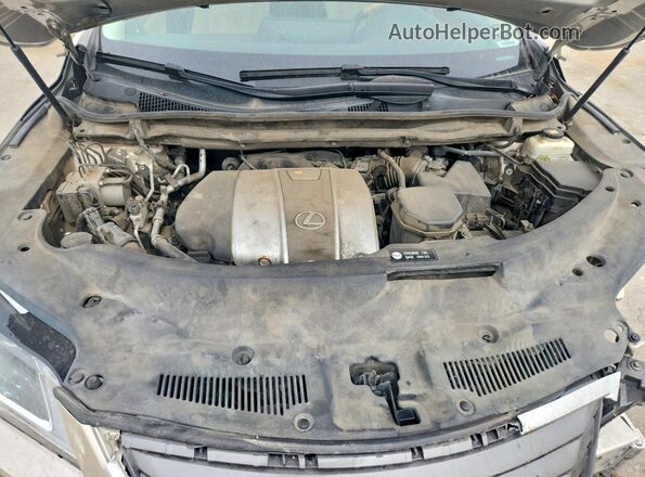 2T2ZZMCA1HC078339 2017 LEXUS RX Кремовый Вид задней части салона