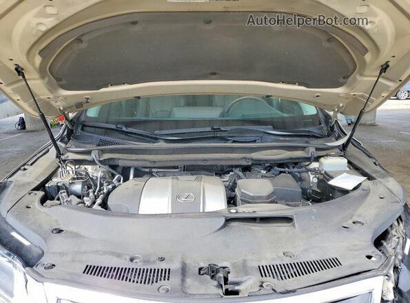 2T2ZZMCA7KC118012 2019 LEXUS RX Золотой Вид задней части салона