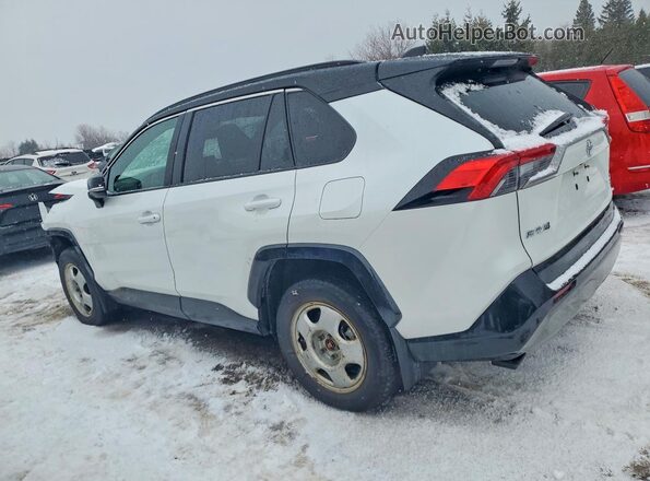 2T35WRFV0SW280948 2025 TOYOTA RAV4 White Tył lewy