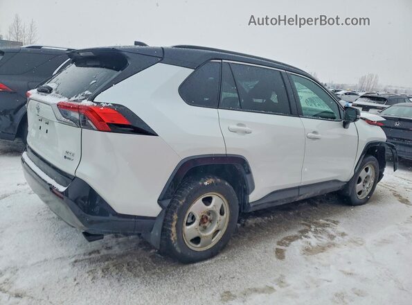 2T35WRFV0SW280948 2025 TOYOTA RAV4 White Tył prawy