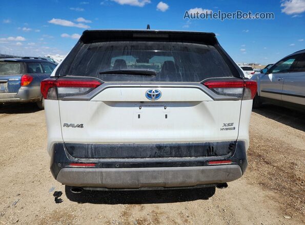 2T35WRFV5PW166242 2023 TOYOTA RAV4 White Հետևի տեսք