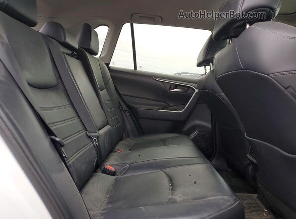 2T3A1RFV0LW125895 2020 TOYOTA RAV4 Белый Вид задней части салона
